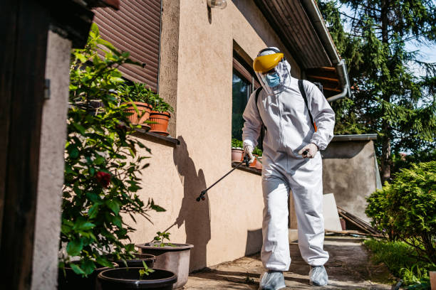 Best Mosquito Control Services  in White Sulphur Springs, WV