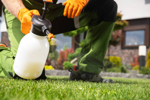 Reliable White Sulphur Springs, WV Pest Control Solutions