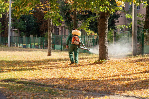 Best Pest Control Near Me  in White Sulphur Springs, WV