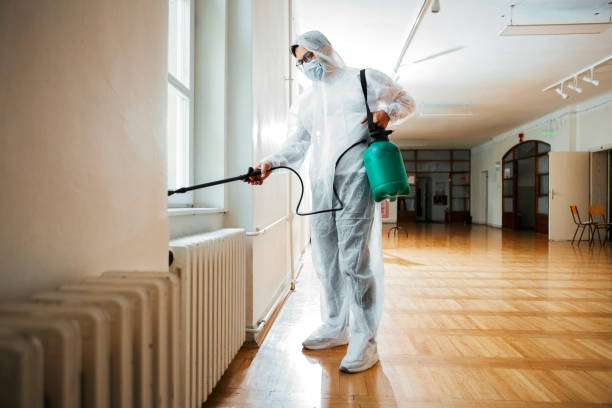 Best Ant Control Services  in White Sulphur Springs, WV