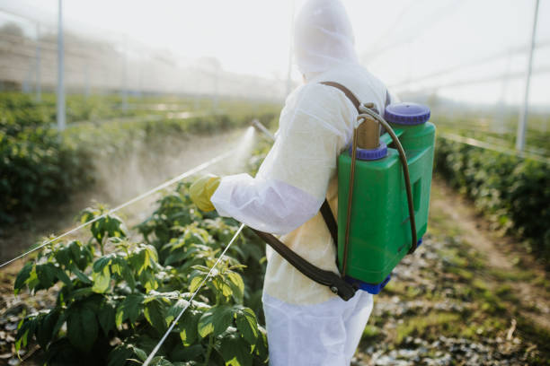 Best Wasp Removal Services  in White Sulphur Springs, WV